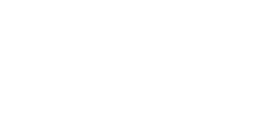 2-boreale-logo-v2-900x440.png